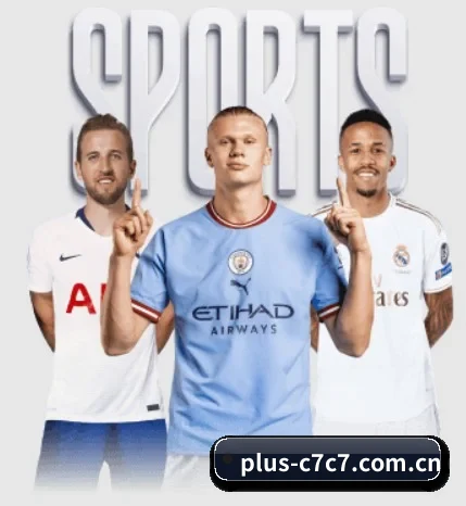 五大服务分区,信息按项目分类 | c7c7