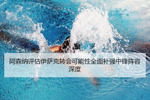阿森纳评估伊萨克转会可能性全面补强中锋阵容深度 | cc7c7.app
