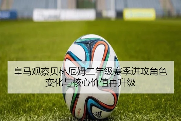 img_1782239622342_1330_1_854.jpg
