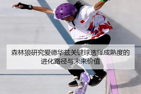 森林狼研究爱德华兹关键球选择成熟度的进化路径与未来价值 | cc7c7.app